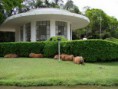 /album/passeio%20no%20parque%20das%20aguas%20de%20s%c3%a3o%20louren%c3%a7o/vichy-pacas-jpg/